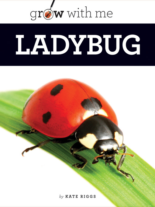 Title details for Ladybug by Kate Riggs - Available